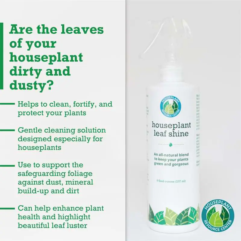 Houseplant Leaf Shine Spray