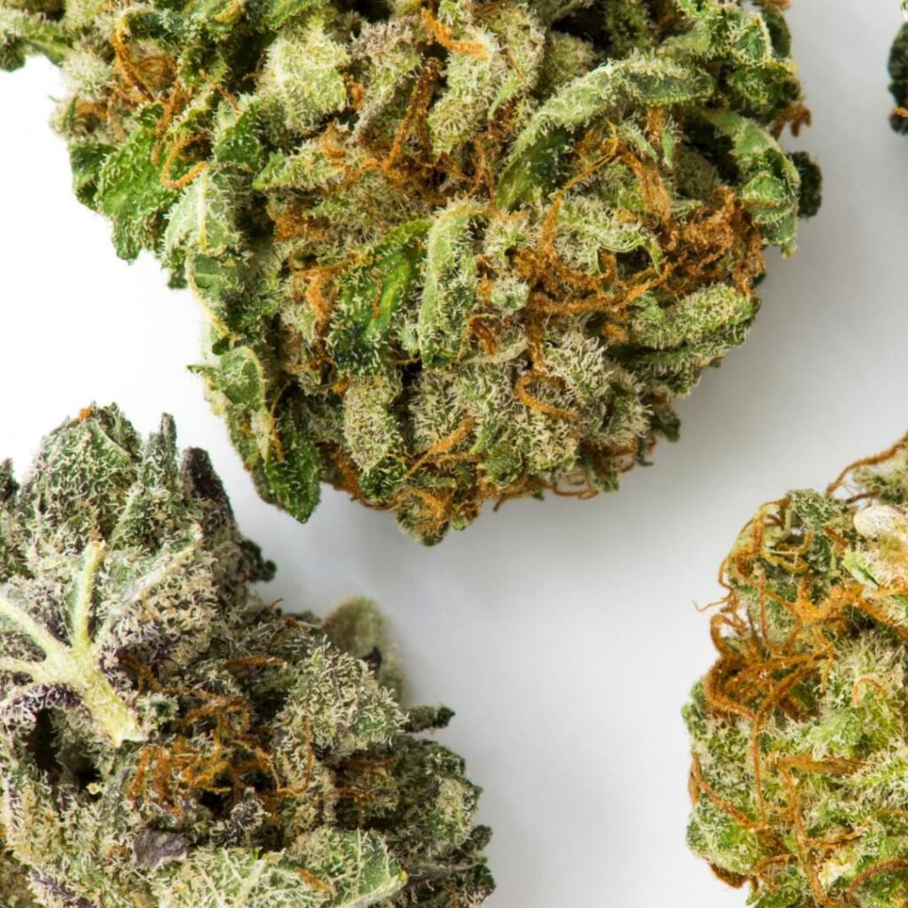 The Trufflez strain is a more relaxing strain that makes it easy to fall asleep after you smoke it. If you want to add an indica-leaning strain to your arsenal, Trufflez is a great option.