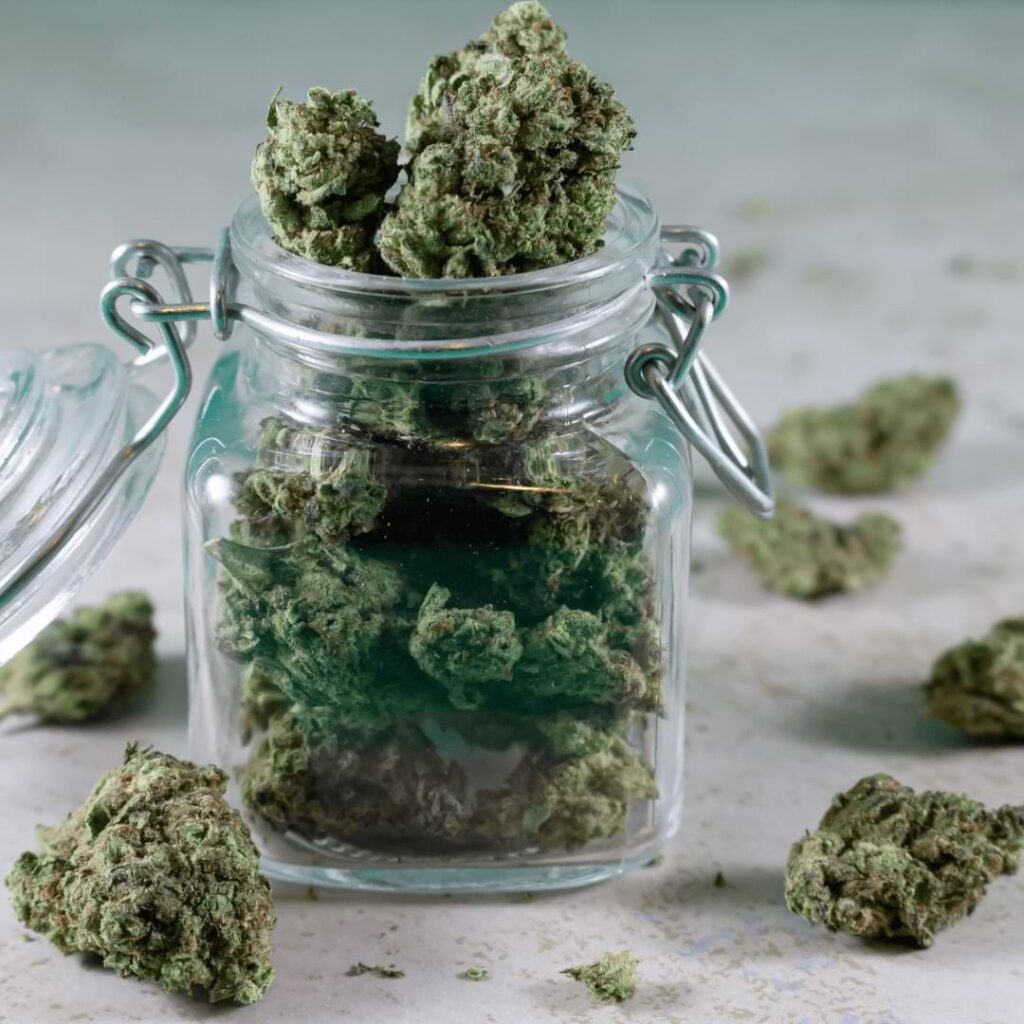 What time frames do you need to leave the jar open? We’ll explain how long to leave a jar open when curing for you to cure your buds in a jar.