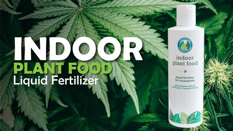 Indoor Plant Food for Cannabis Growth