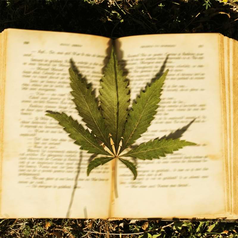 Whether you're looking to further your growing knowledge or start learning, you can keep on reading for the best books about growing weed.