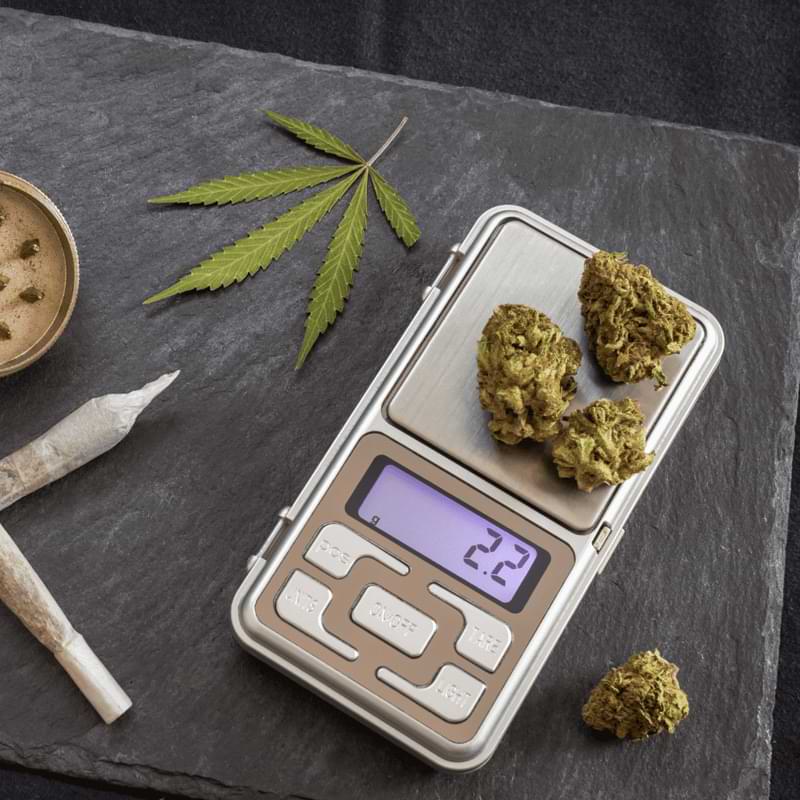 When finding the best scale for weed, you need to look at accuracy, capacity, units of measurement, portability, and durability.